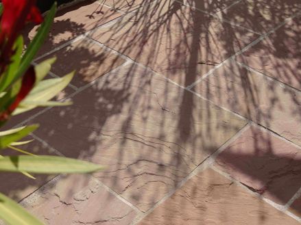 Dalles de grès Modak, terrasse avec plante au premier plan