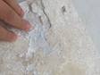 Dalle_de_terrasse_Ivory_Cream_sous_l'eau_détail