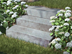 Blocs marches en pierre calcaire Camino Grey avec fleurs et gazon