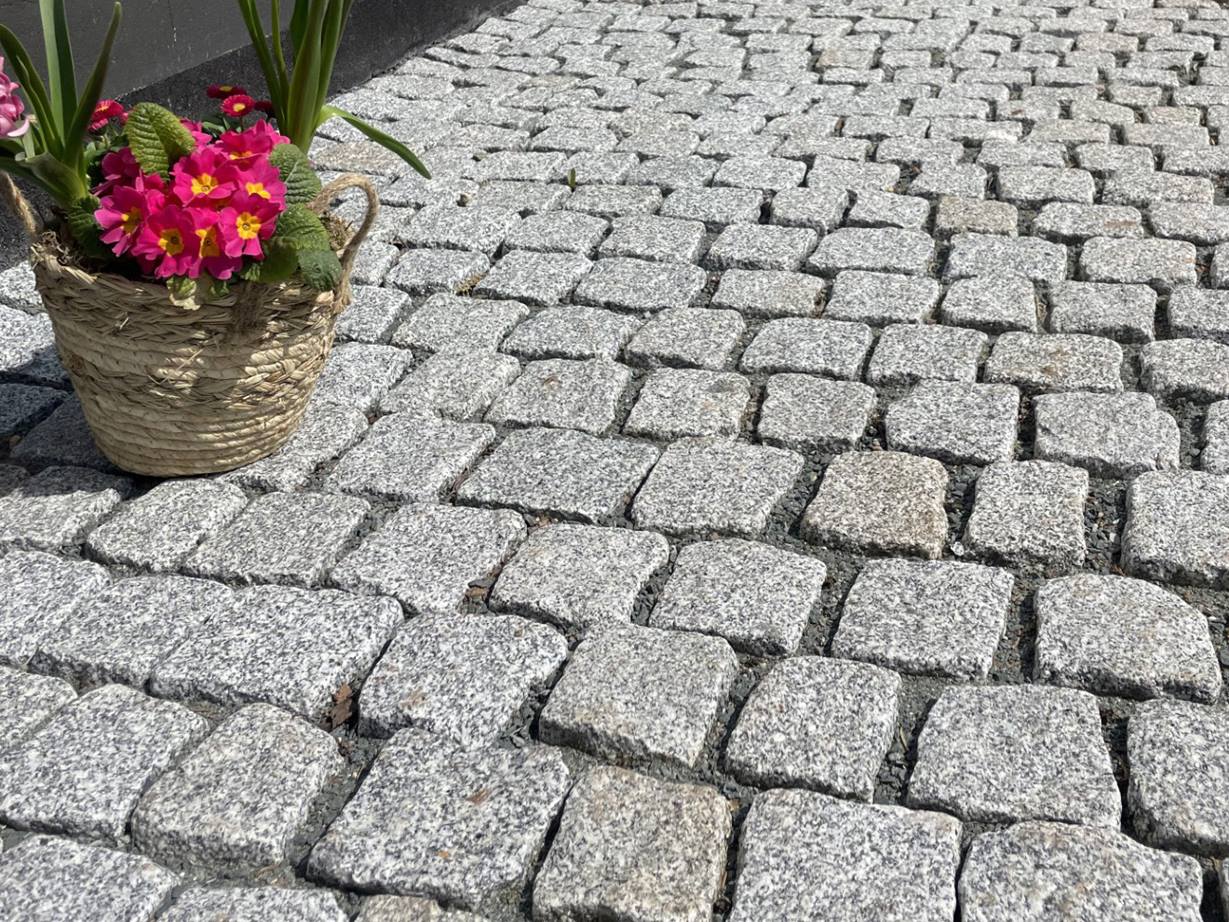 Les pavés clairs ont un effet moderne avec une note rustique. Photo du client pierre_de_pavage_granit Silver_Rustice_entrée_proche_des_fleurs