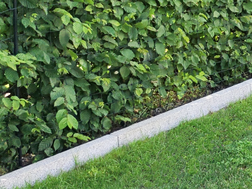 Bordures de jardin en granite Silver Classico avec haie et gazon