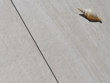 Gros plan sur le dallage Mountain Beige, sur lequel est posé un escargot de mer