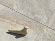Les dalles effet quartzite Bern avec un oiseau en bois en tant que décoration