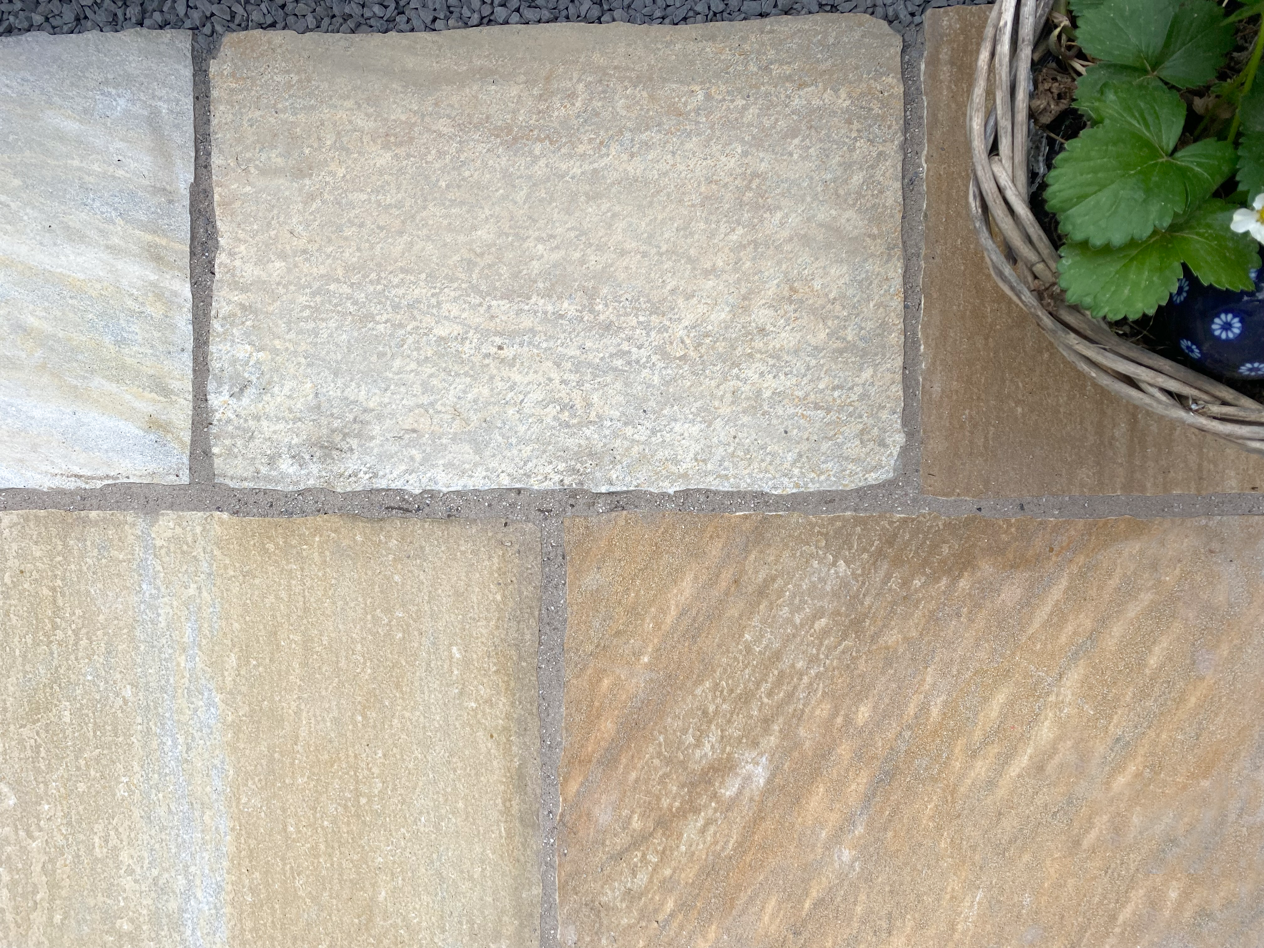 Belles nuances de jaune, de sable et de gris Quarzit-Terrassenplatte-Blumen4