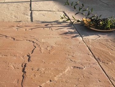 Le dallage en grès Modak avec assiette de baies et branches