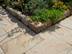Un Jardin entouré de dalles en grès Yellow Mint 