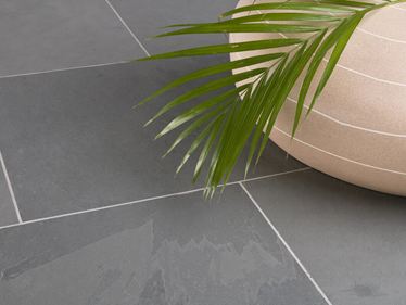 Le carrelage en ardoise Grey Slate et un palmier