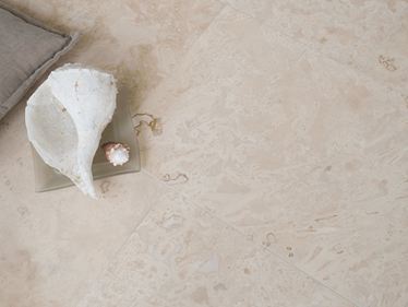 Coquillage blanc posé sur un carrelage en travertin Classic Light, photographié vu d'en haut