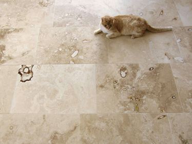 Vue de haut sur un chat qui se repose sur le carrelage en travertin Onyx.