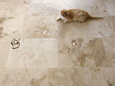 Vue de haut sur un chat qui se repose sur le carrelage en travertin Onyx.