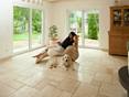 Une femme lit dans un fauteuil, devant elle il se repose un chien sur un sol en travertin Light en opus romain