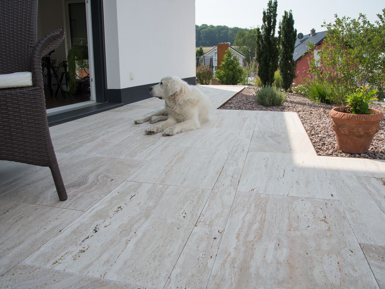 Le dallage en travertin Natura convient aux animaux. un chien assis sur la terrasse en travertin Natura à gauche une chaise