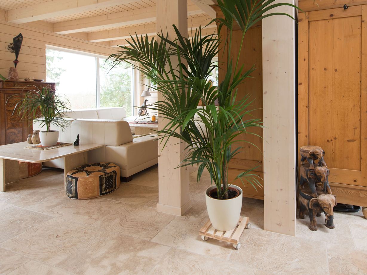 Salon avec carrelages en travertin Rustic