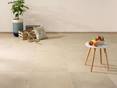 Plante, coussins et petite table avec des fruits sur des carreaux de grès cérame à l'aspect calcaire